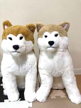 【タイムセール】作家様 犬のぬいぐるみ 2匹セット 61mUw+XG-0L._UF350,350_QL50_.jpg